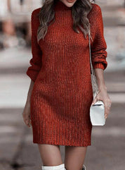 Rosie Harrison | Turtleneck Long Sleeve Sweater Dress