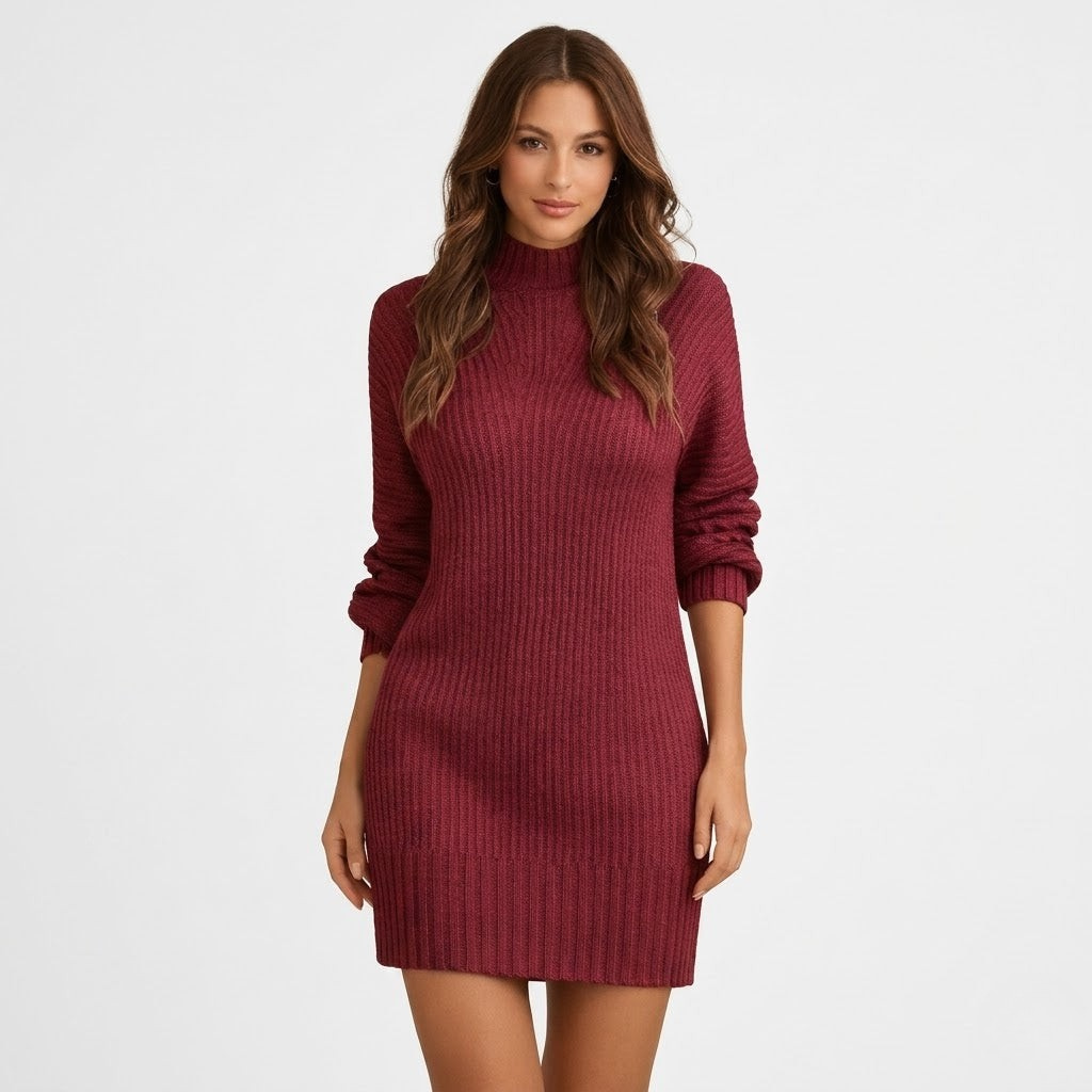 Charlotte Hunter | Ribbed Turtleneck Knit Mini Dress