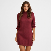 Charlotte Hunter | Ribbed Turtleneck Knit Mini Dress