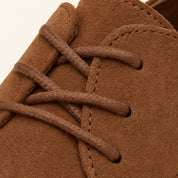 Marco Bellini | Suede Oxford Prestige Shoes
